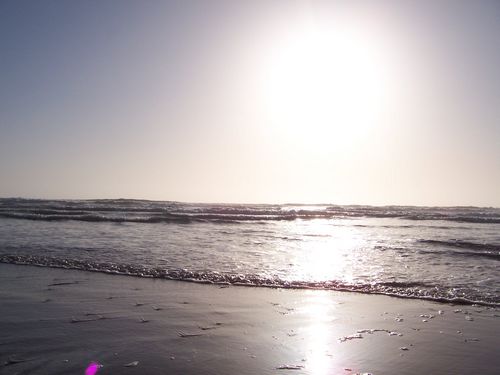 Ocean Beach (palo-alto_100_8611.jpg) wird geladen. Eindrucksvolle Fotos von der Westküste Amerikas erwarten Sie.